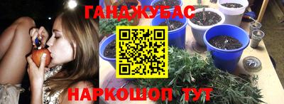 мдпв Тулун