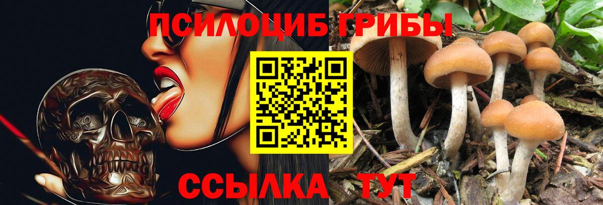 Псилоцибиновые грибы мицелий  Галлюциногенные грибы Cubensis  Вход с VPN  Лабинск 